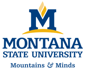 Montana State University logo.
